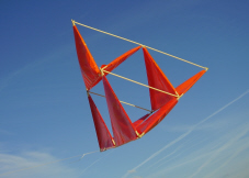 "A tetrahedral kite is provided whose components can be manufactured at low costs and which can be assembled with a minimum of effort into a kite that flies easily and stably."